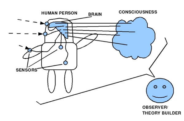 Gehirn im Körper mit Bild 1: Bewusstsein - Beobachter